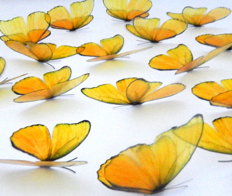 make a boring wall beautiful