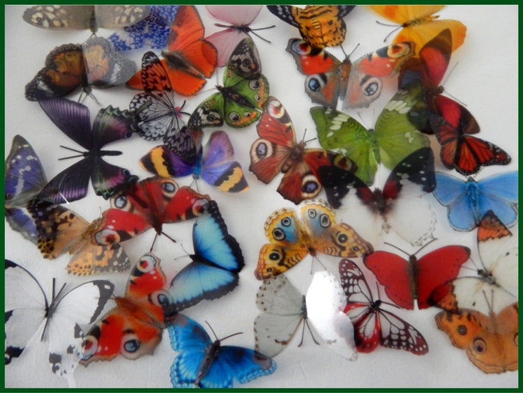 set of 32 natural butterfly wall stickers by Flutterfames