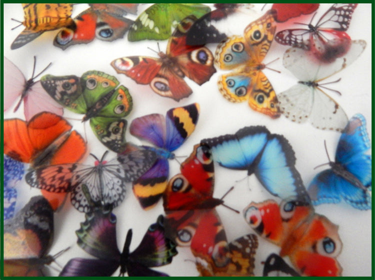 natural faux butterfly wall stickers