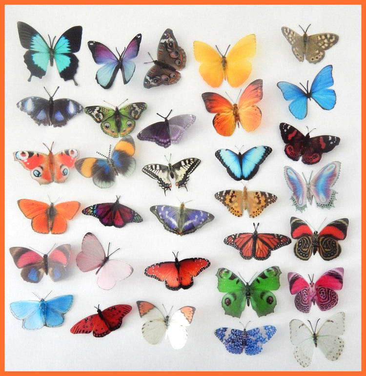 Craft Decorative Butterflies, scrap booking, card making, 3d stickers. Cut your own or have them cut for you. Craft Supplies, Craft Butterflies