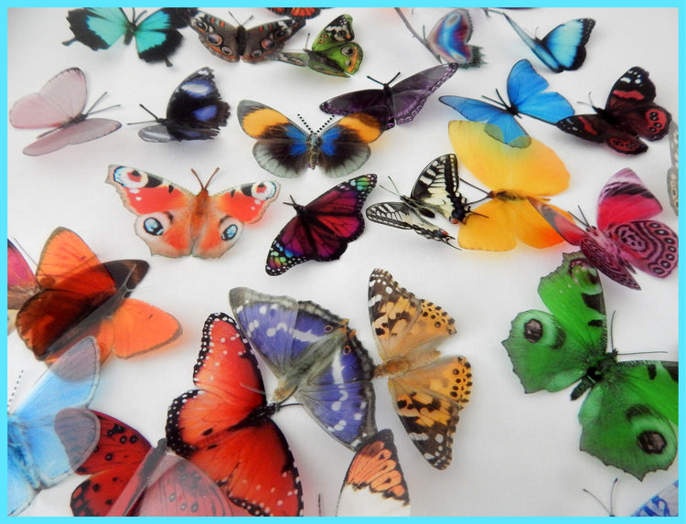 Craft Decorative Butterflies, scrap booking, card making, 3d stickers. Cut your own or have them cut for you. Craft Supplies, Craft Butterflies