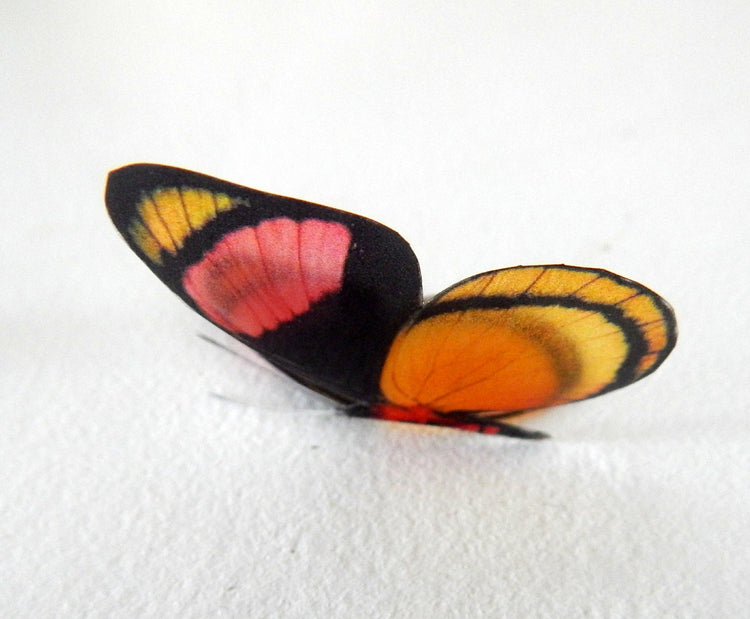 Decorative Butterflies, Natural butterflies set 2, card making 3d wall stickers. Cut your own or have them cut for you. Craft Supplies