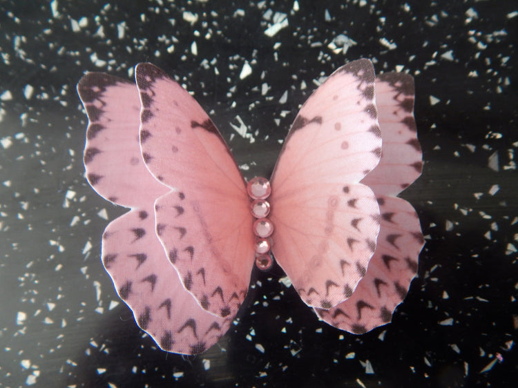 pretty silk butterfly