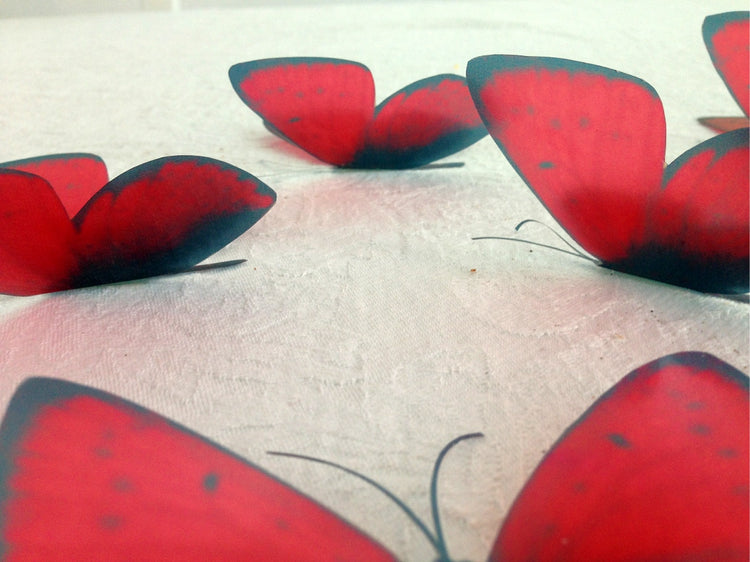 Red reproduction butterflies decor. The red butterfly British butterfly Wall Art Flying Removable Butterflies Home Decorations Wall Art