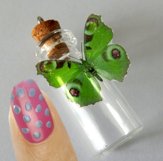 MINIATURE BUTTERFLIES