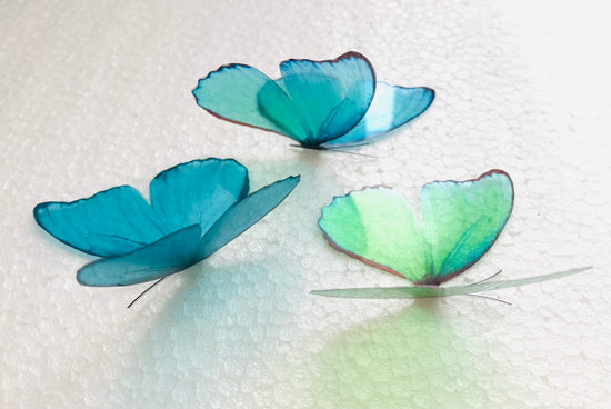 Green and  Turquoise Butterflies 