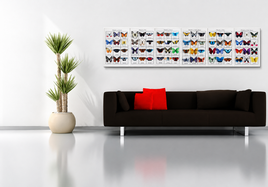 3d worldwide butterfly poster