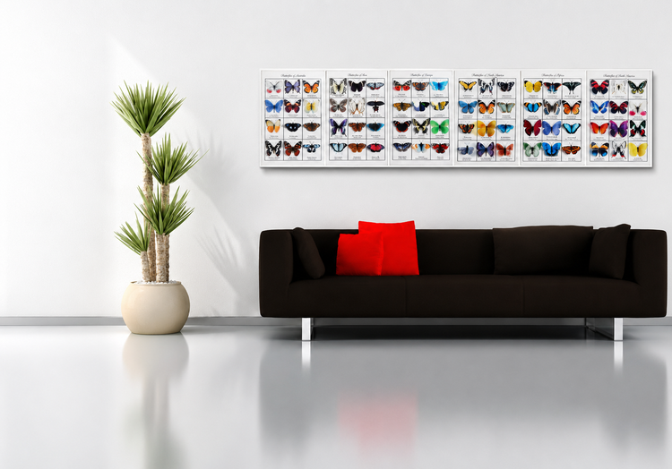 3d worldwide butterfly poster