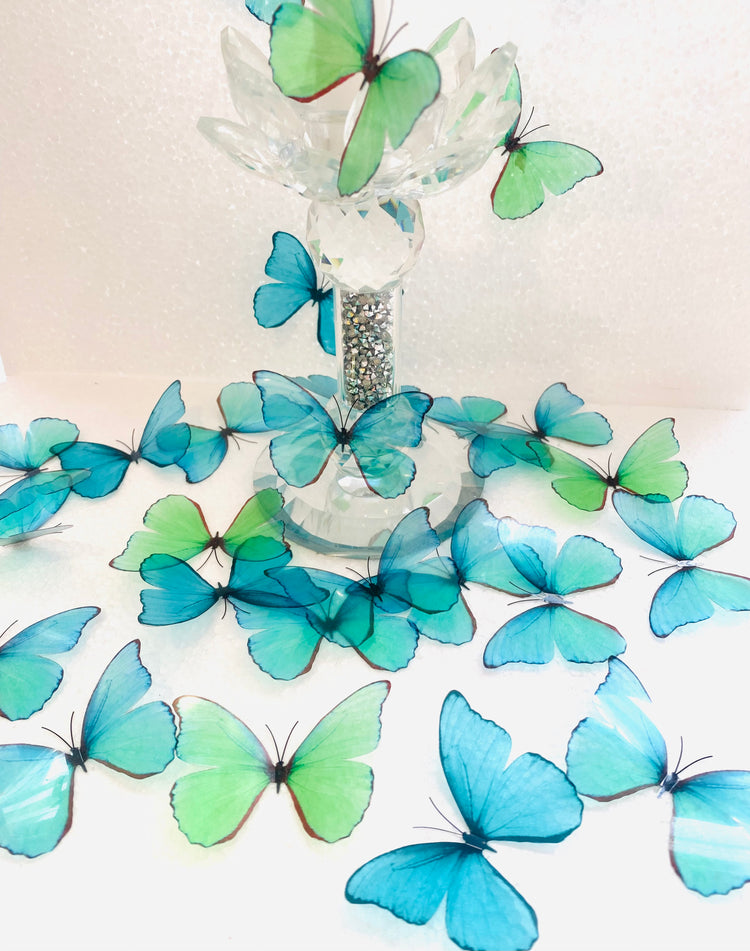 Green and  Turquoise Butterflies cake decorating
