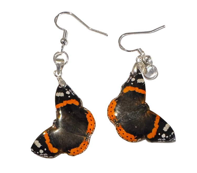 Red Admiral butterfly earrings Butterfly-shaped earrings with orange, black, and white design 