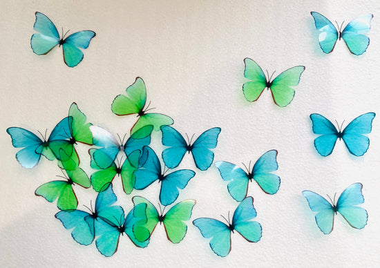 Green and  Turquoise Butterflies cake decorating