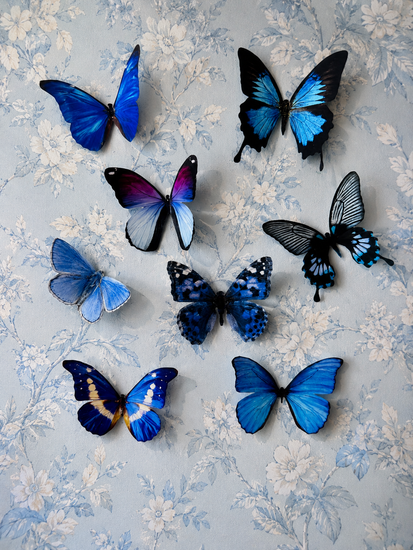 Blue 3D Butterflies decor