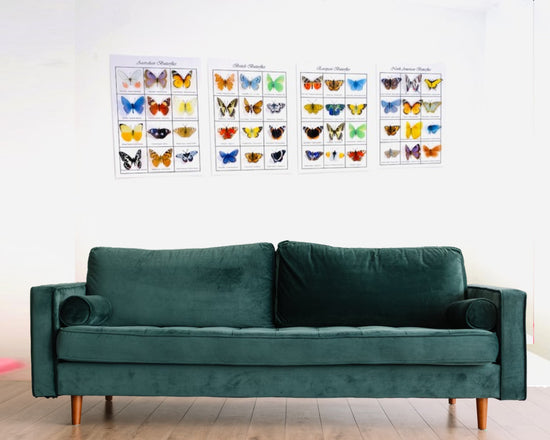 3d butterfly poster