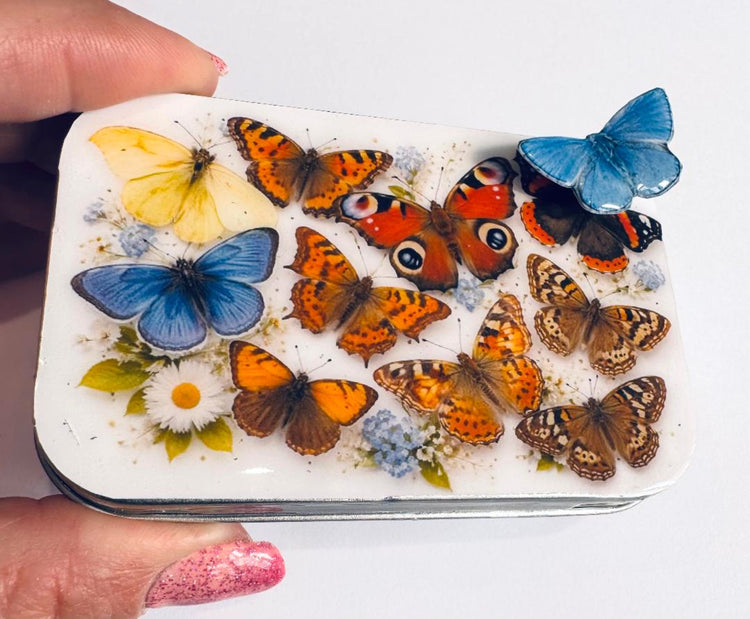 British Butterfly Gift Tin with Holly Blue magnet