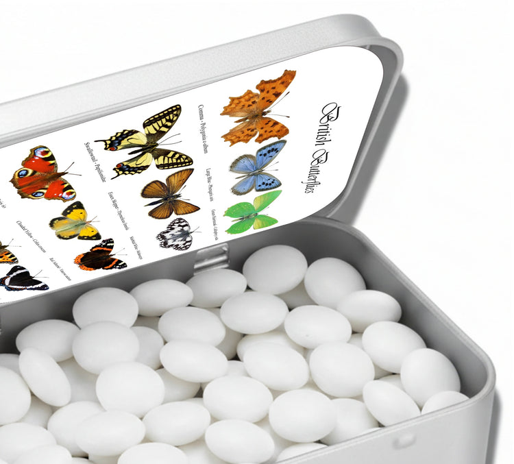 British butterflies in a tin