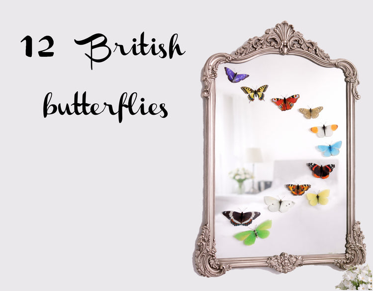 12 British butterflies