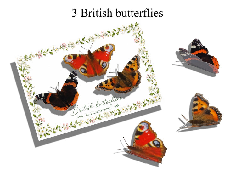 British butterflies gift card pack