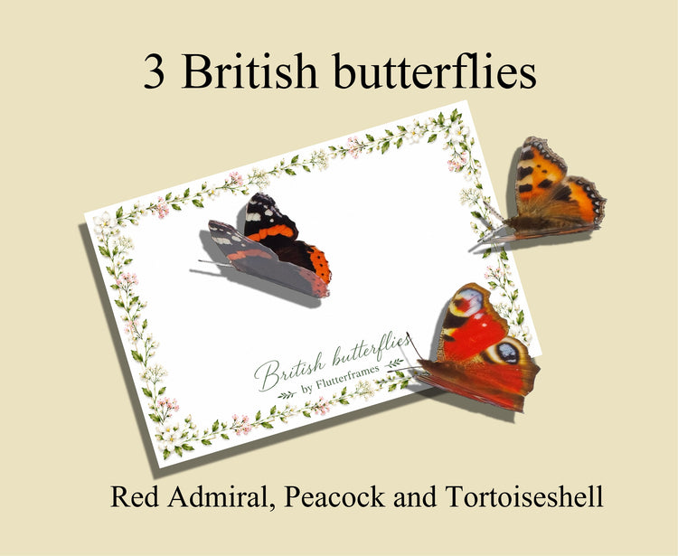 A product presentation showing three British butterflies (Red Admiral, Peacock, and Tortoiseshell