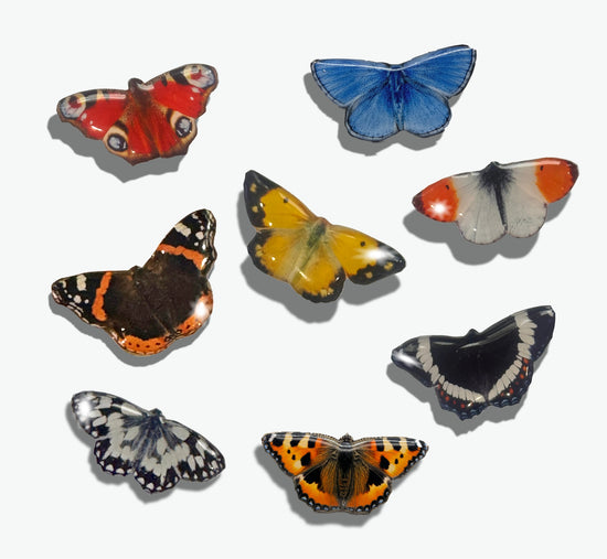 British butterflies enamel pin made from recycled tin cans