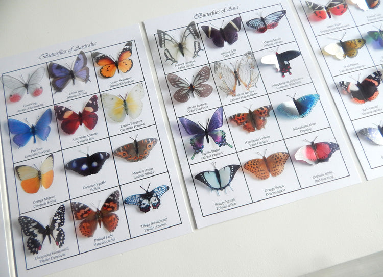 Handcrafted Butterflies of the world 3d poster. 