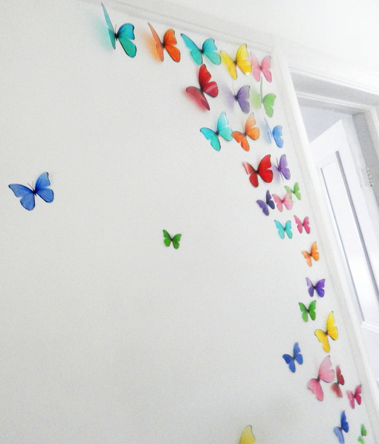 multi-coloured hallway display of butterflies