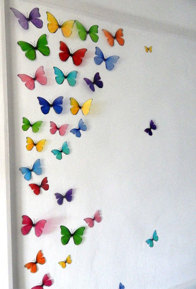  hallway display of butterflies
