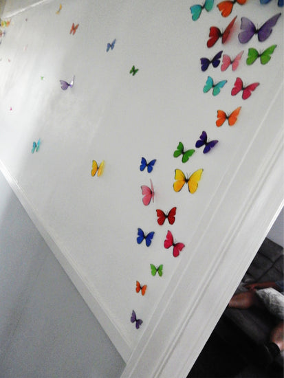 multi-coloured rainbow display of butterflies 