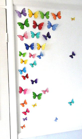 wall multi-coloured rainbow display of butterflies 