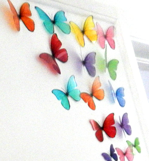 rainbow butterflies 