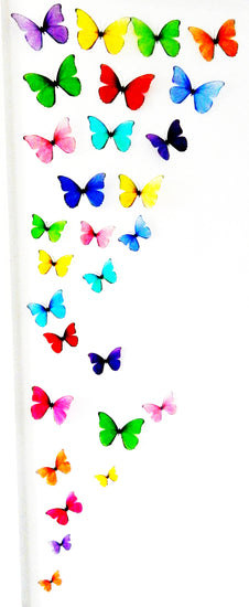 multi-coloured rainbow display of butterflies 