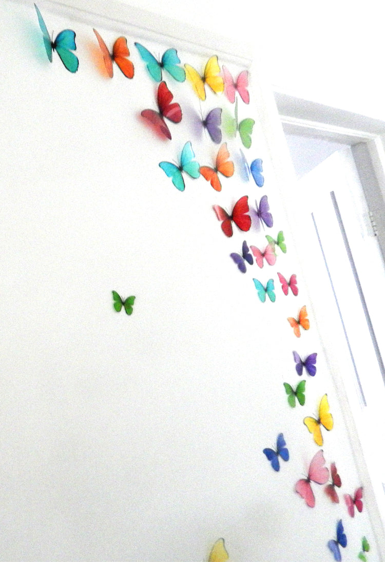 hallway multi-coloured rainbow display of butterflies 