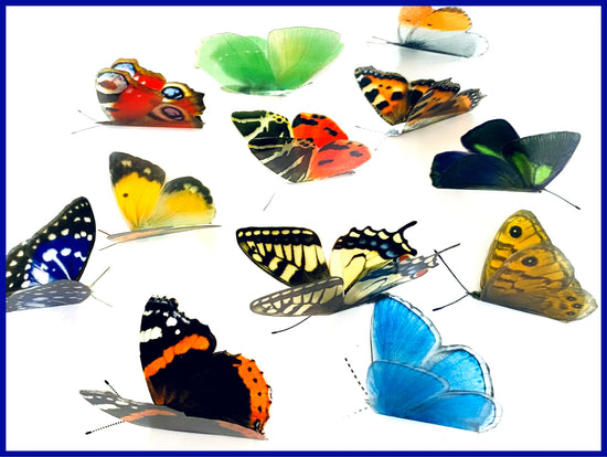 Butterfly cake decorations
