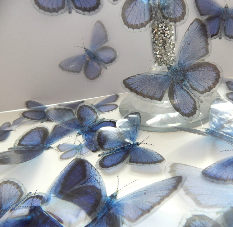 Holly Blue butterfly decor