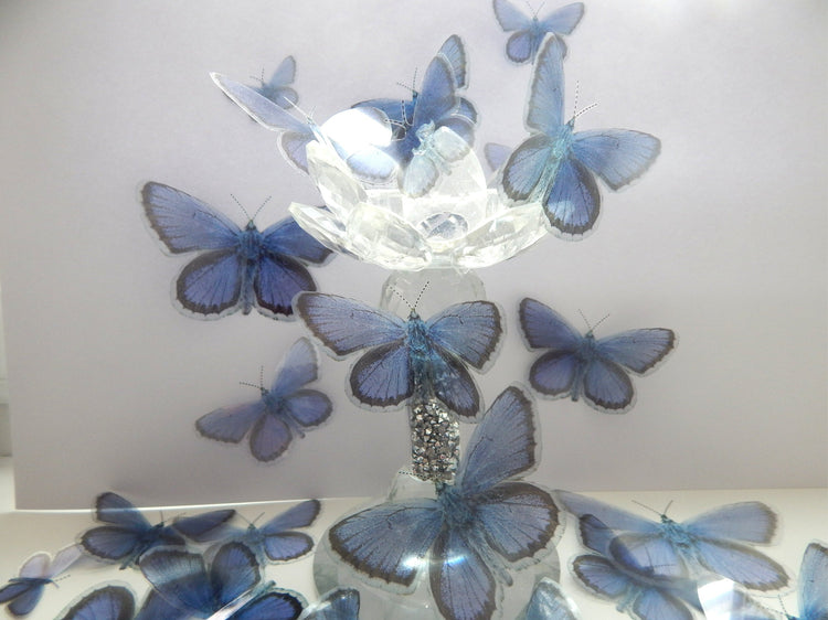 Artificial  Holly Blue butterfly English collection