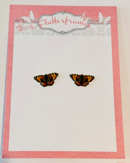 Small Tortoiseshell stud butterfly earrings