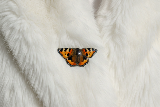 Tortoiseshell Butterfly Pin, made from recycled tin cans