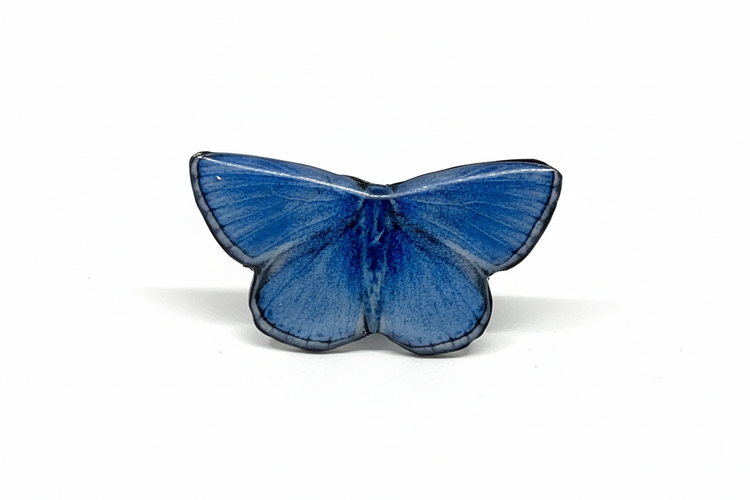 Common blue butterfly pin. British collection