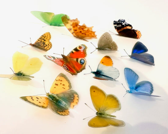 Irish butterflies names