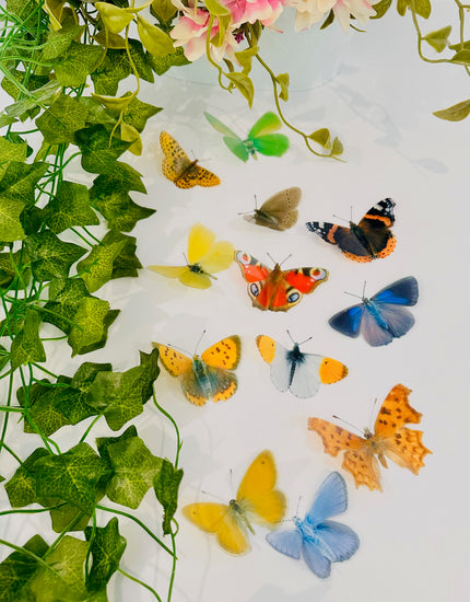 List of Irish Irish butterflies names
