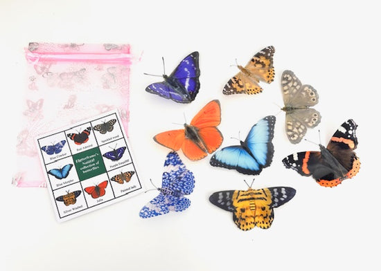 Natural butterfly decor, countryside butterfly collection package set