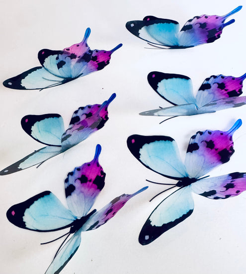 very pretty butterflies