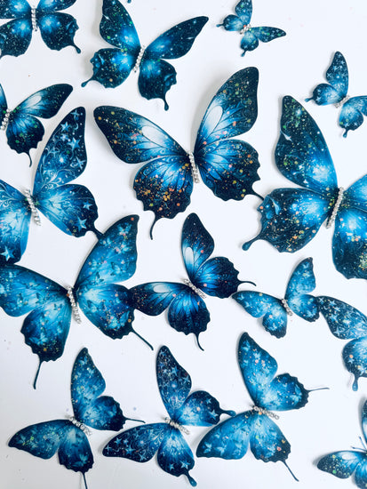 blue stars and moon butterfly display