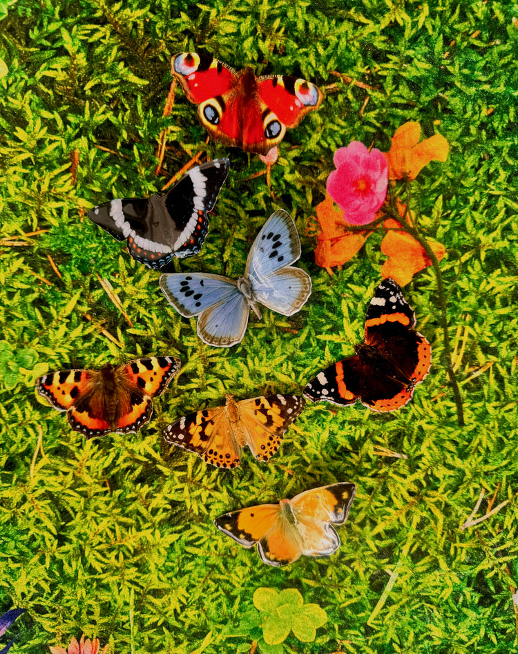 outdoor weatherproof _British_butterflies made from tin cans