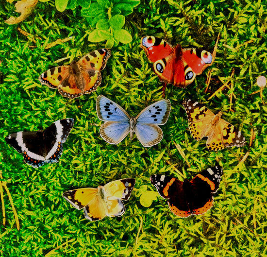 outdoor weatherproof garden _British_butterflies