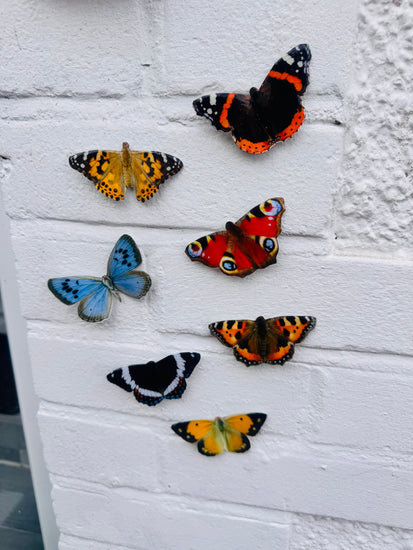 outdoor weatherproof _British_butterflies by Flutterframes