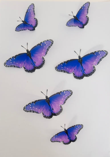 3d purple butterfly stickers