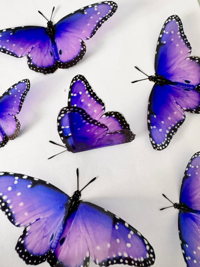 3d purple butterfly wall stickers
