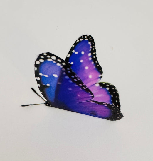 3d purple butterfly 