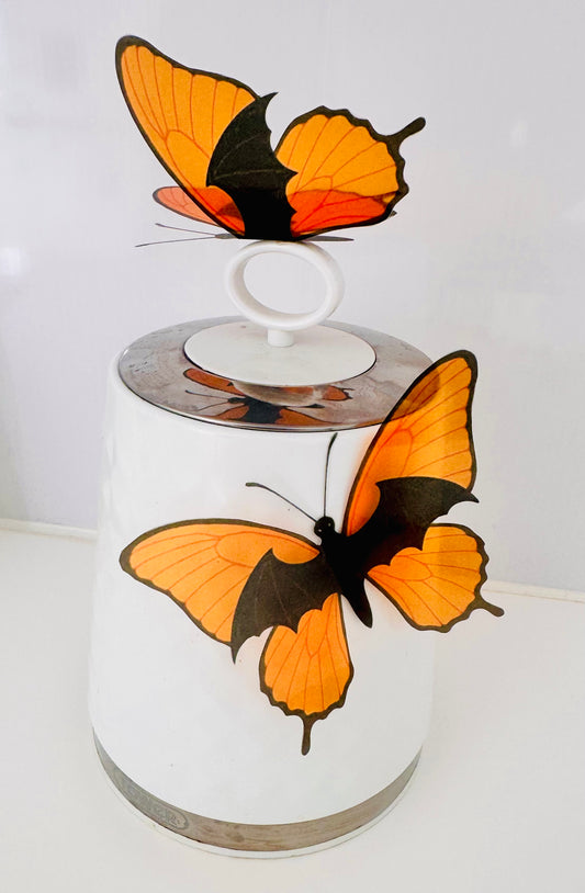 Halloween 3d butterfly decor