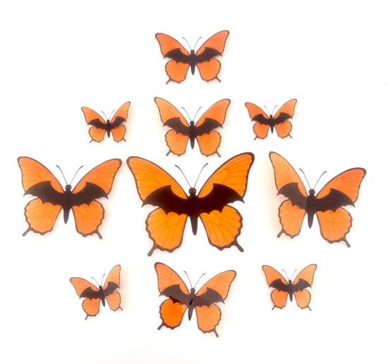 Halloween  butterfly wall stickers